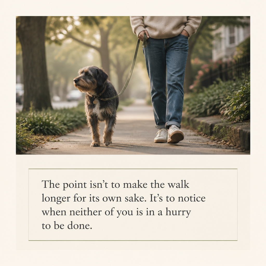 Highlighted article sentence: The point isn’t to make the walk longer for its own sake. It’s to notice when neither of you is in a hurry to be done.